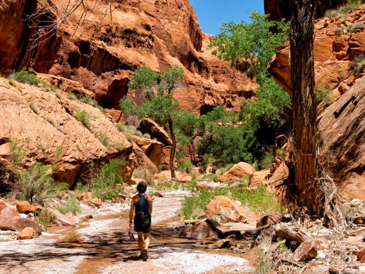 Hiking up canyon