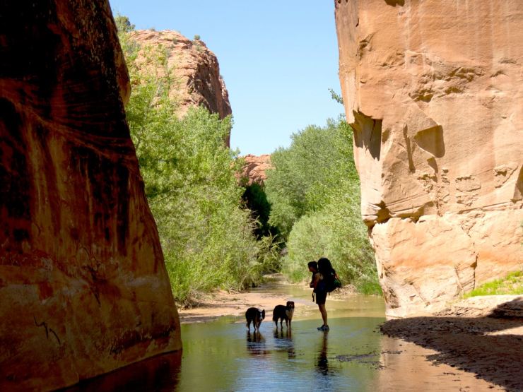 Betsy, Bodie and Ande