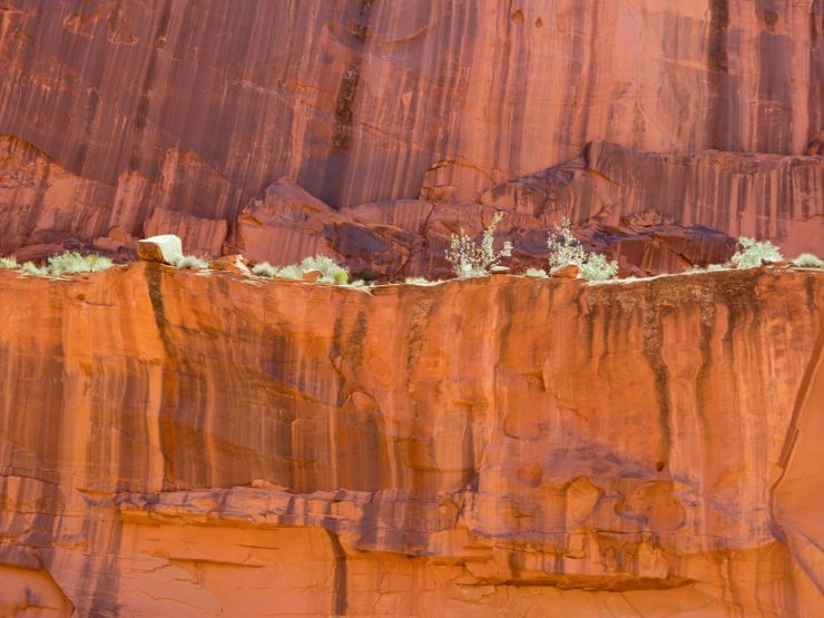 green ledge_1440_1080