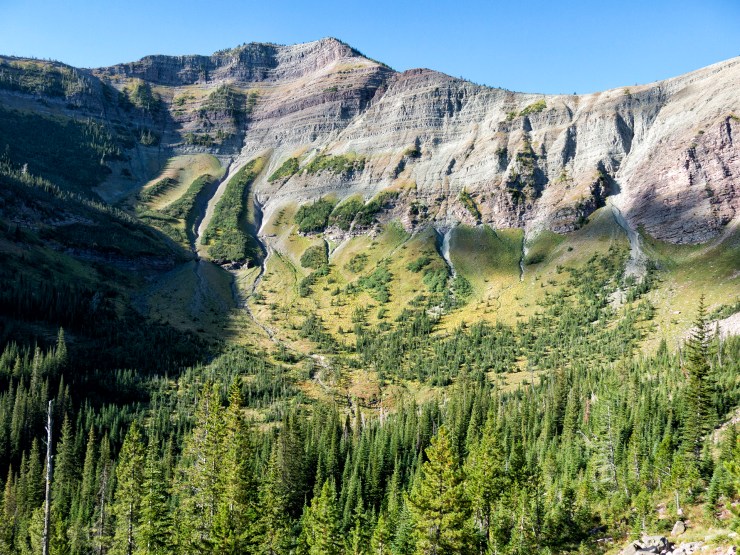 Up a Crik without a Lake