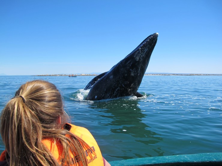 20130304_3654 (Large)