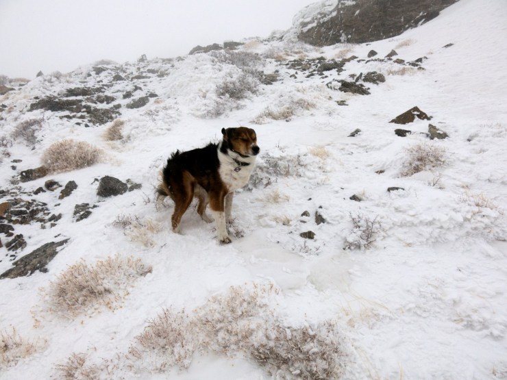Bodie pointed into the wind.