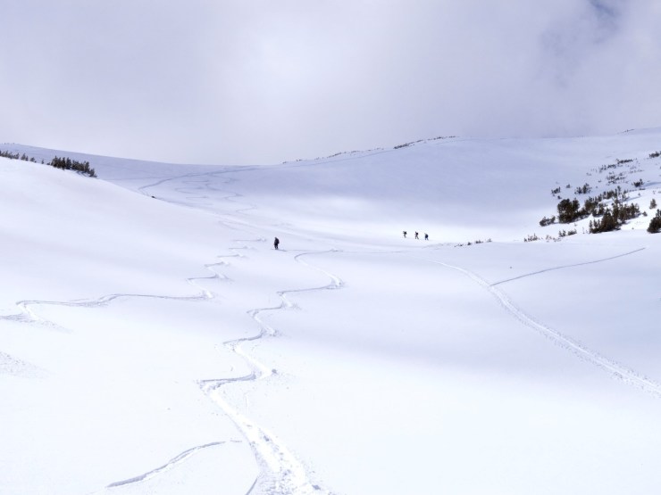 California fresh tracks