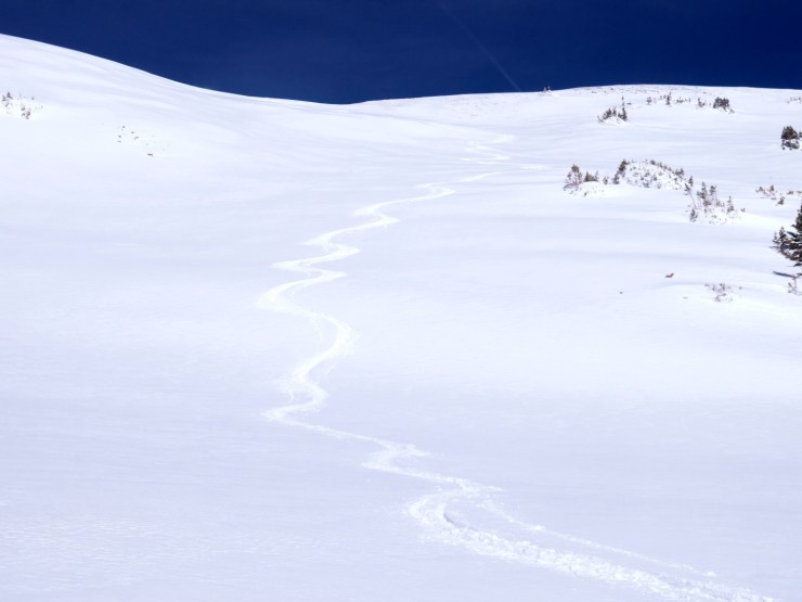 Fresh Colorado tracks