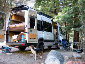 Bodie likes the storage under the bed.