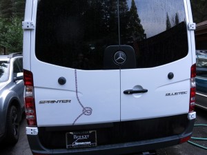 OK, too cute.  Back down guys.