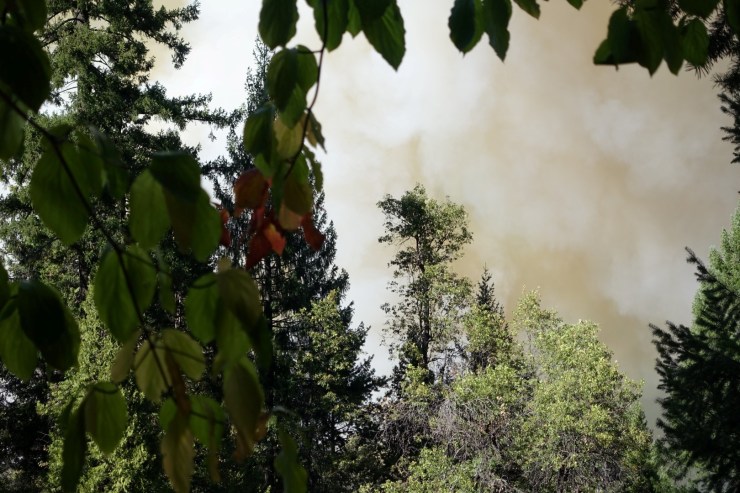 Nothing but smoke...