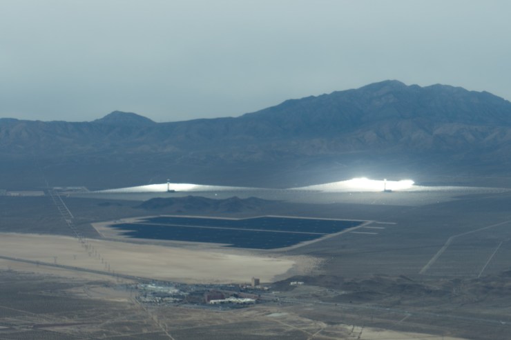 Phoenix flightb-3 (Large)