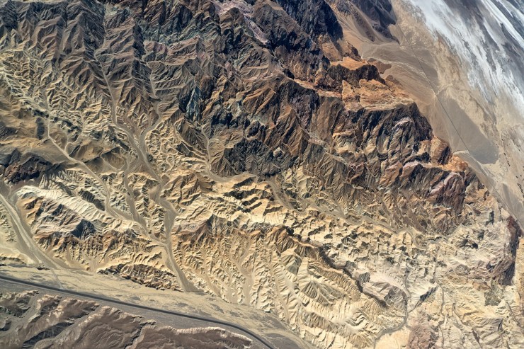 Phoenix flightb-5 (Large)