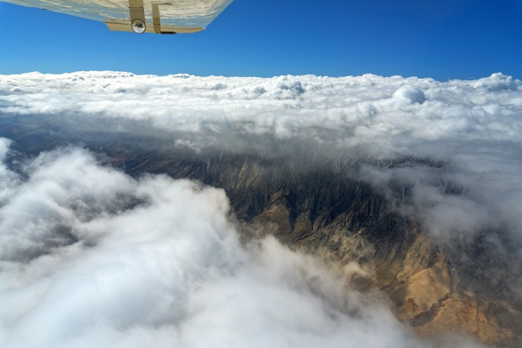 Phoenix flightb-8 (Large)